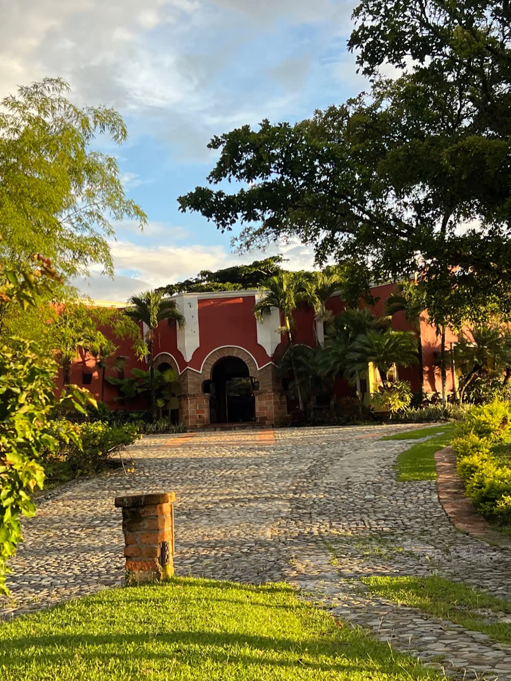 LA DIVISA 21