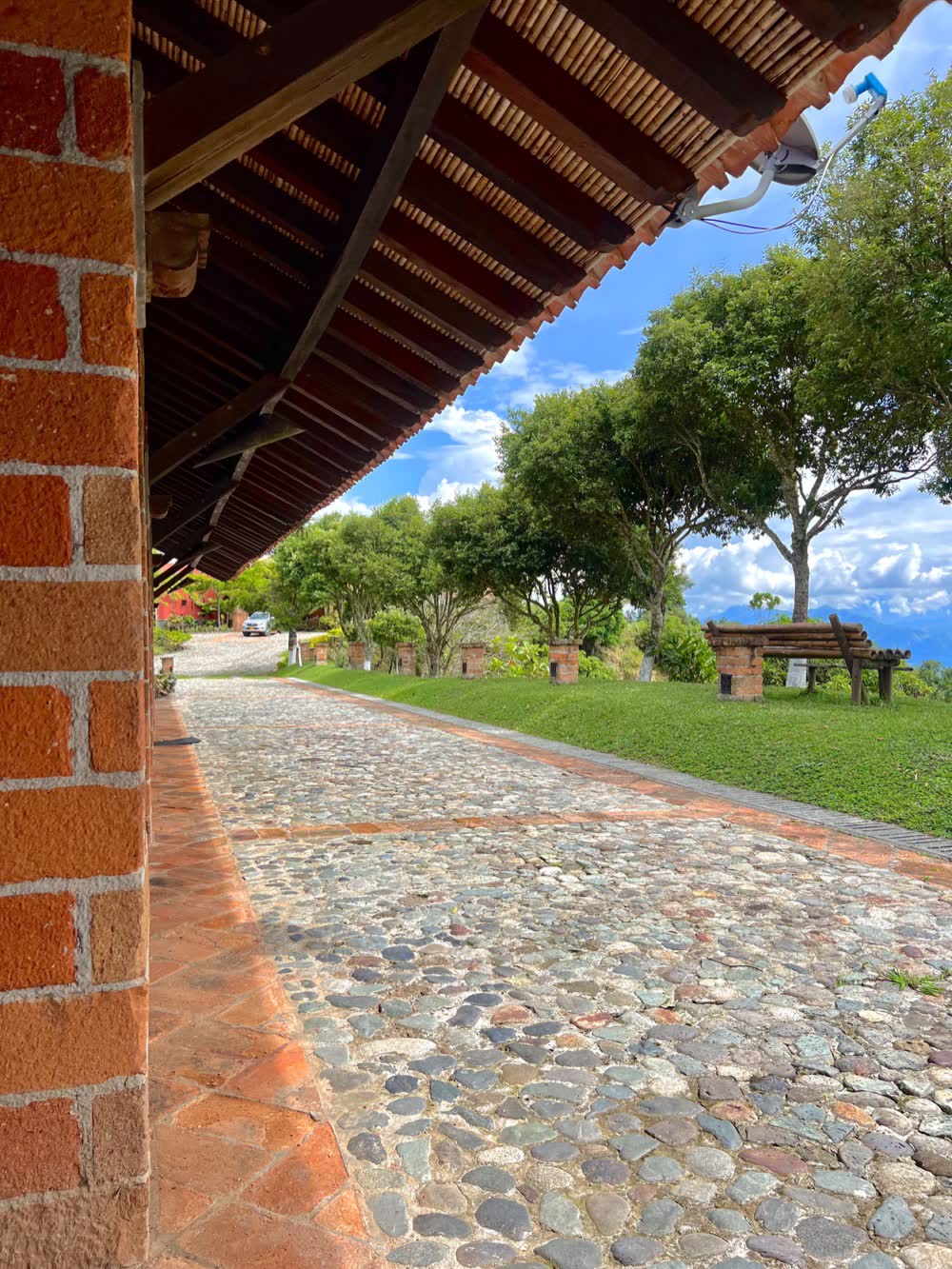 LA DIVISA 23